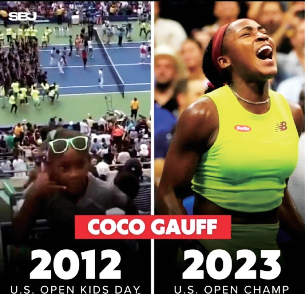 杨的体系需 杨的体系需